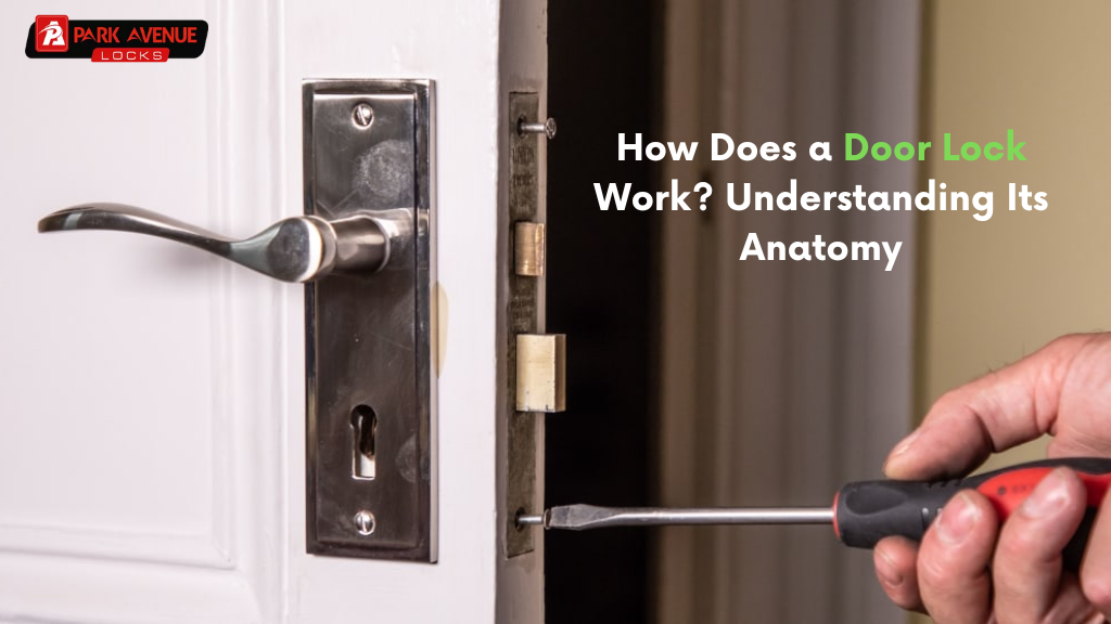 How Does a Door Lock Work? Understanding Its Anatomy
